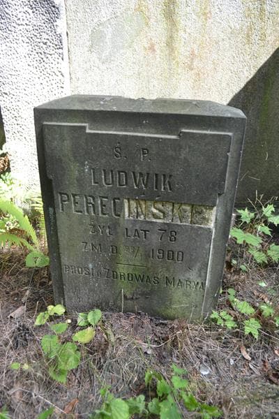 Zdjęcie grobu Ludwik Pereciński (2)