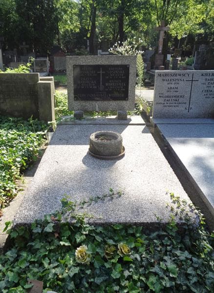 Zdjęcie grobu Franciszka Rubaj (1)