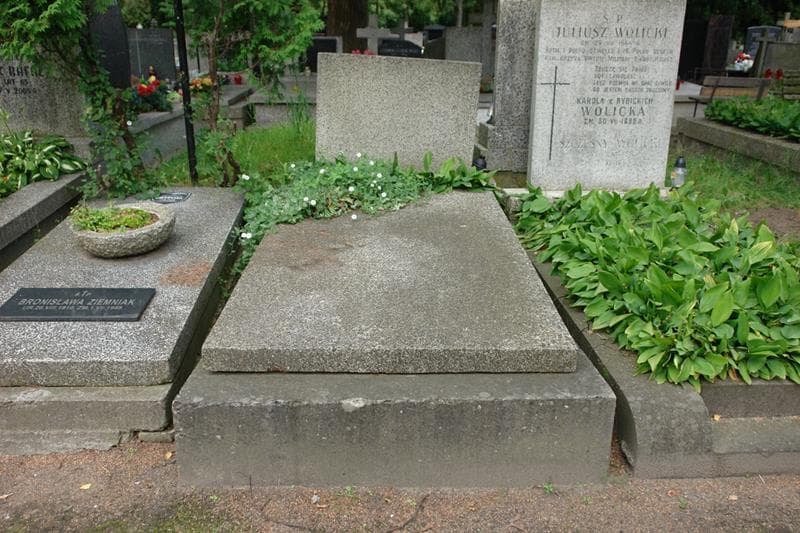 Zdjęcie grobu Bronisław Lambach (1)