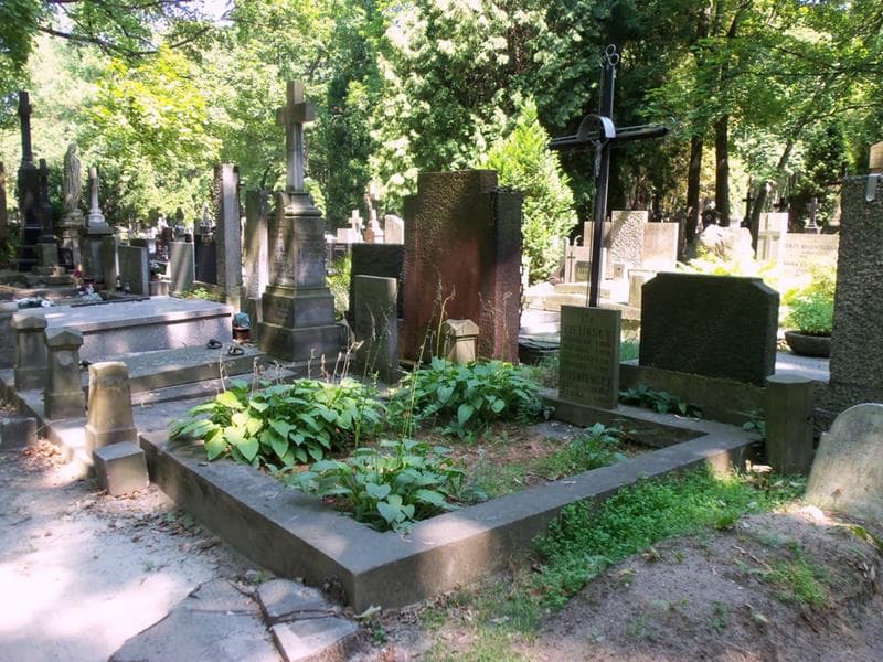 Zdjęcie grobu: Zofia Noskiewicz