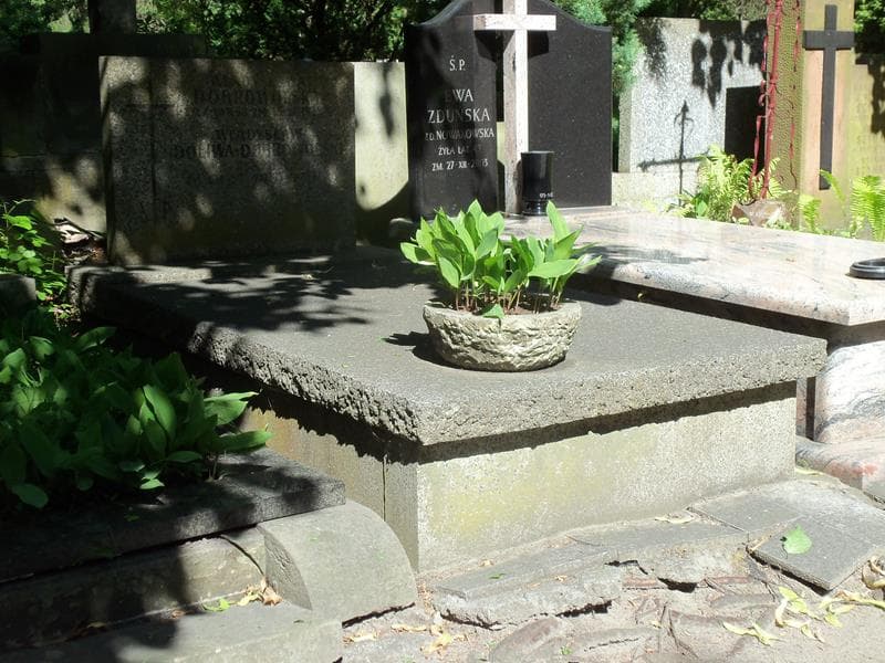 Zdjęcie grobu Władysława Dobrowolska (1)