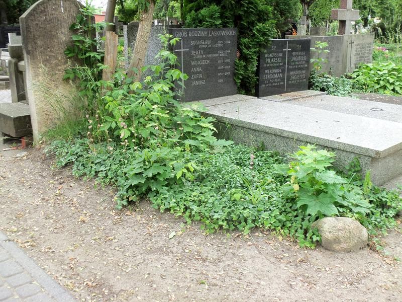 Zdjęcie grobu Pole Grobowe (1)