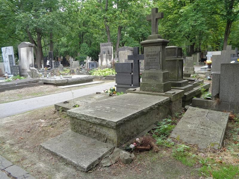 Zdjęcie grobu: Anna Litwinowiczowa