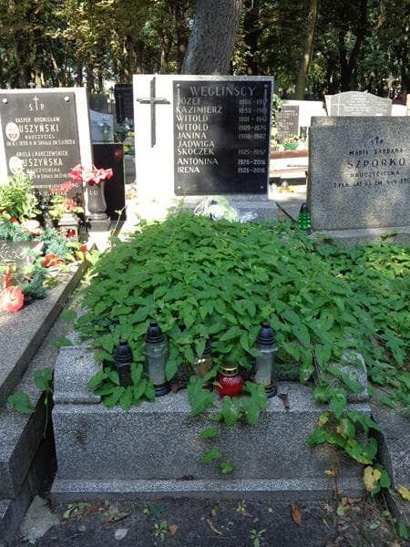 Zdjęcie grobu: Witold Węgliński