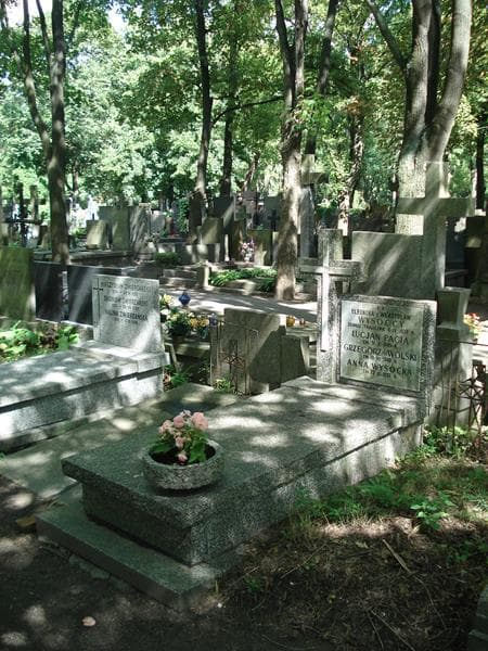 Zdjęcie grobu Eleonora Wysocka (1)