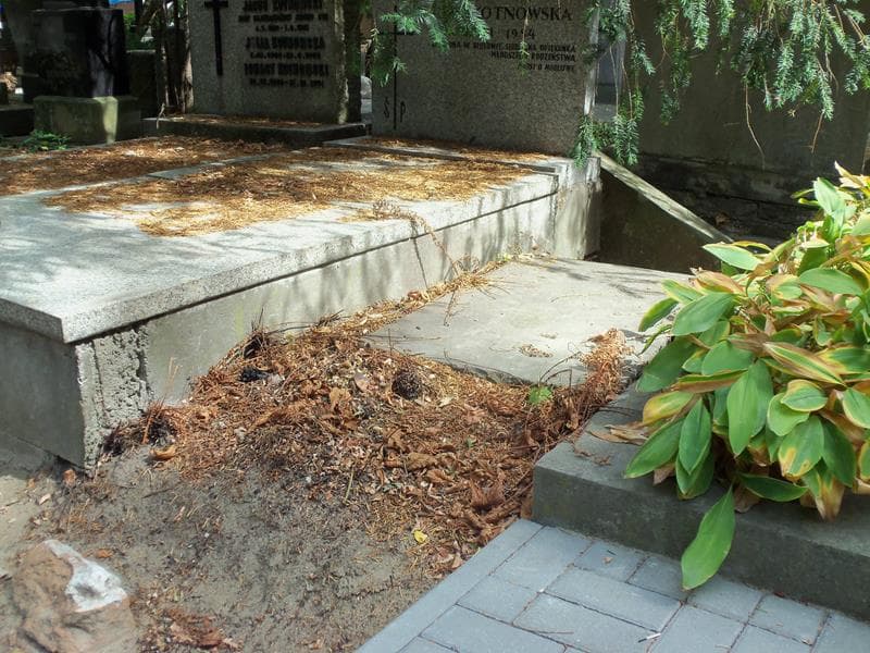 Zdjęcie grobu Marja D'ilier Schaffell (1)