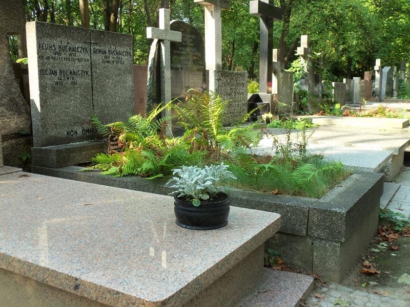 Zdjęcie grobu Maria Kazimiera Buchalczyk (1)