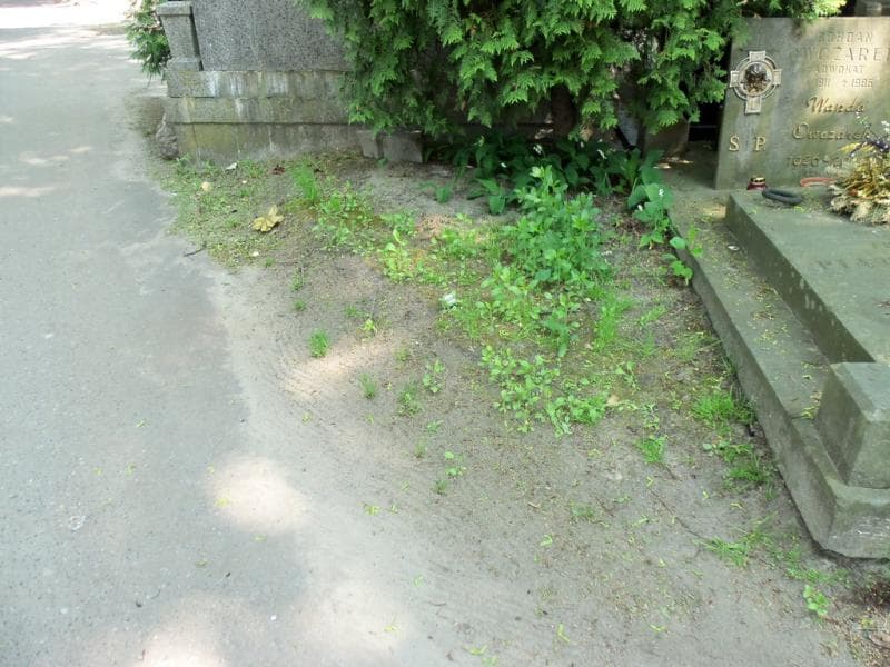Zdjęcie grobu: Pole Grobowe