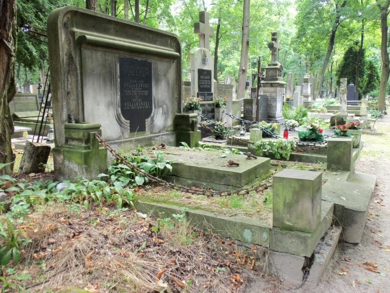 Zdjęcie grobu Bronisław Pułjanowski (1)