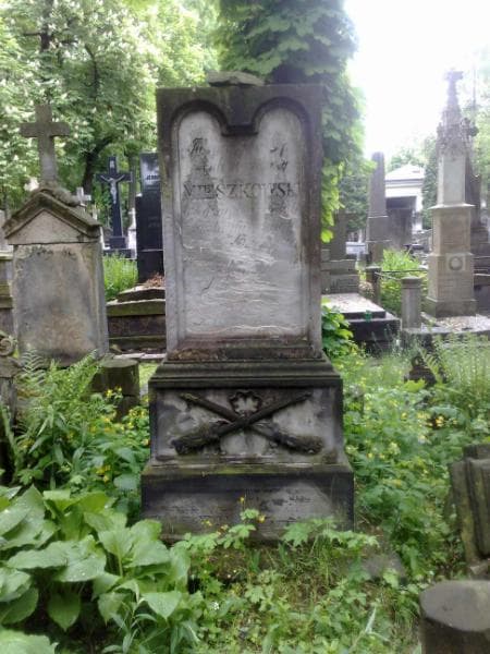 Zdjęcie grobu Antoni Dionizy Mieszkowski (1)