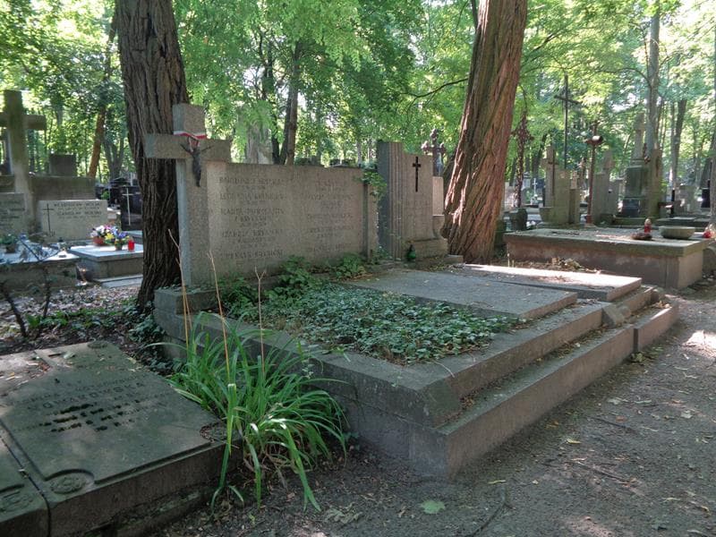 Zdjęcie grobu: Henryk Krynicki