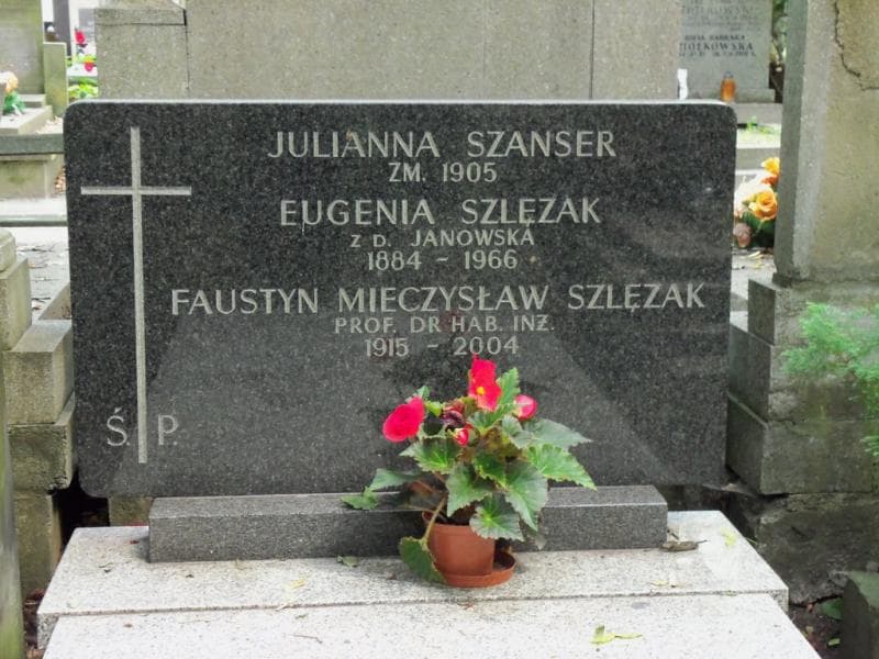 Zdjęcie grobu Faustyn Mieczysław Szlęzak (2)