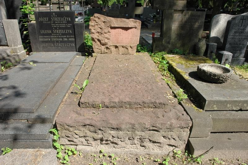 Zdjęcie grobu Tadeusz Leopold Jarmicki (1)