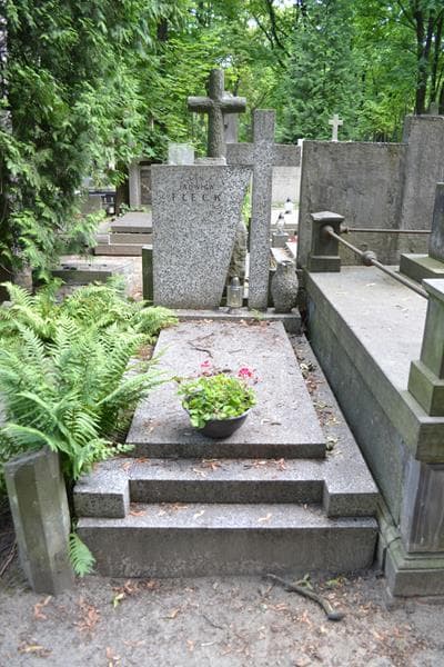 Zdjęcie grobu Jadwiga Fleck (1)