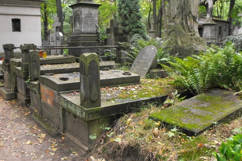 Zdjęcie grobu Ciołkowscy (1)