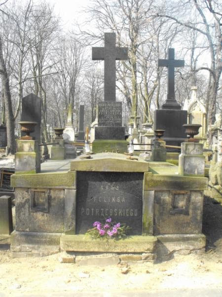 Zdjęcie grobu Ludwika Hermanowiczowa (1)