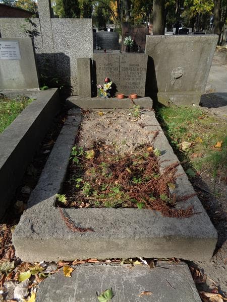 Zdjęcie grobu Edward Tomaszewski (1)