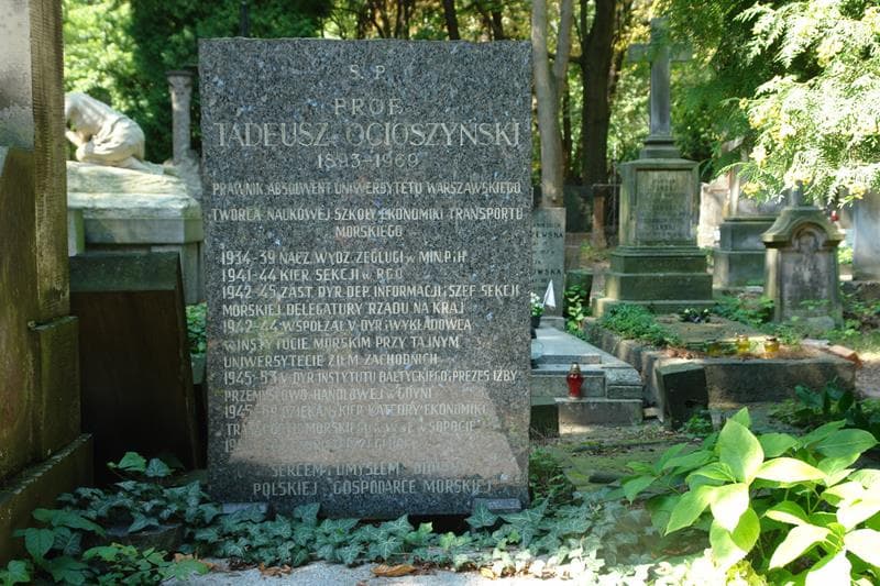 Zdjęcie grobu Zofia Ocioszyńska (2)