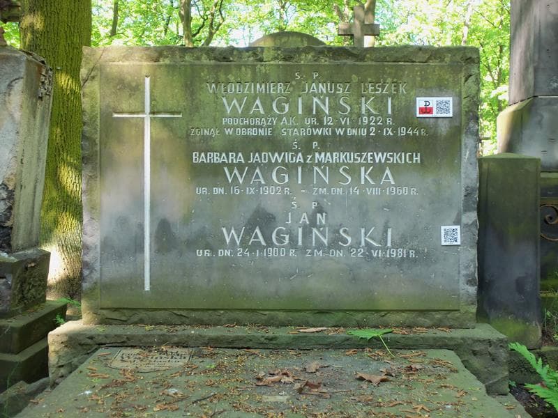 Zdjęcie grobu Włodzimierz Janusz Wagiński (2)