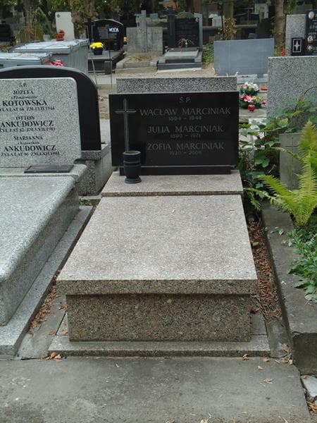 Zdjęcie grobu: Wacław Marciniak
