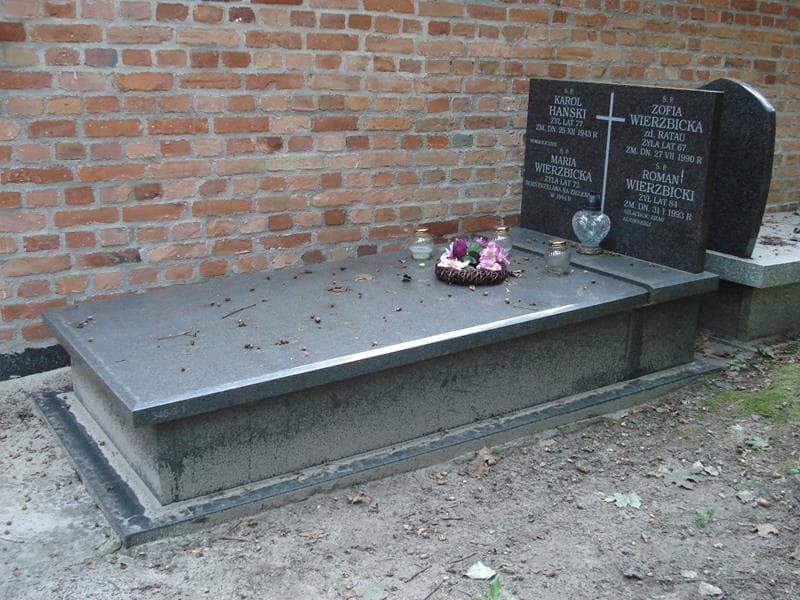 Zdjęcie grobu: Karol Hański