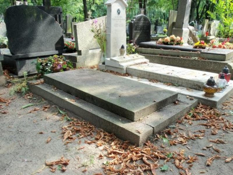 Zdjęcie grobu Helena Junosza Stępowska (1)