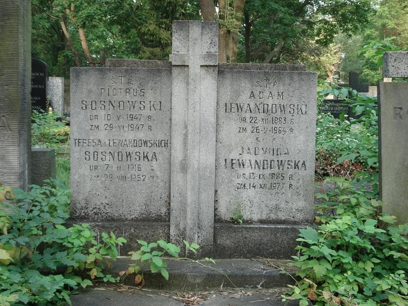 Zdjęcie grobu Jadwiga Lewandowska (2)