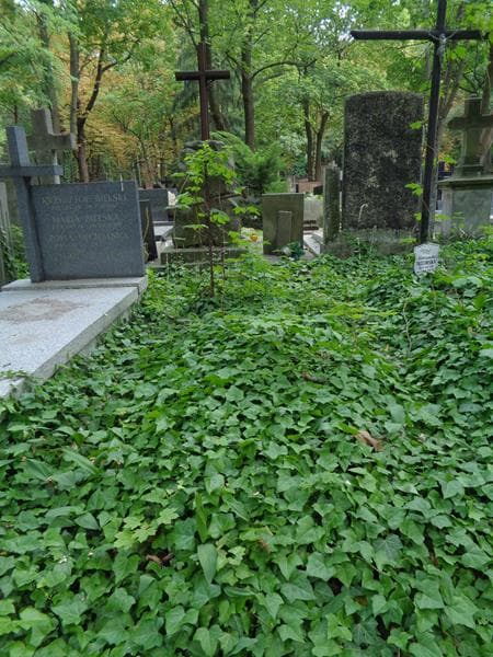 Zdjęcie grobu Anonim (1)