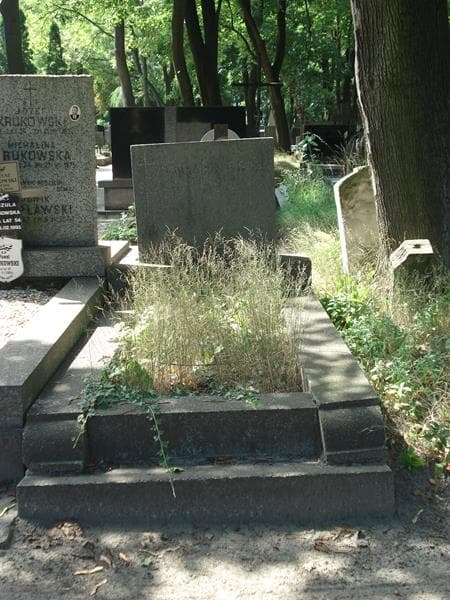 Zdjęcie grobu: Maria Niemierowska