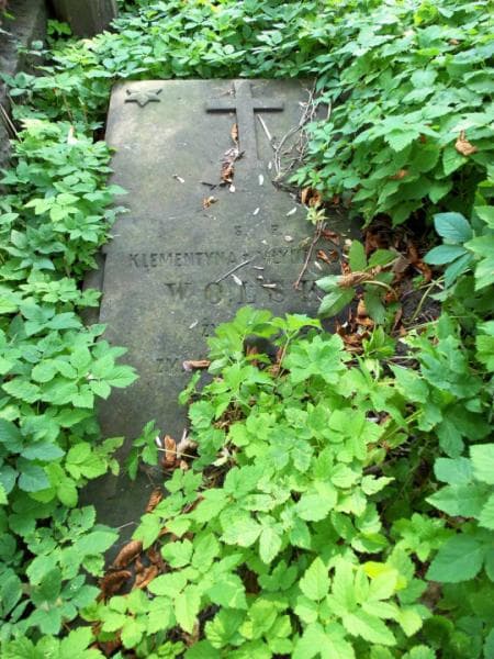 Zdjęcie grobu Klementyna Wolska (1)