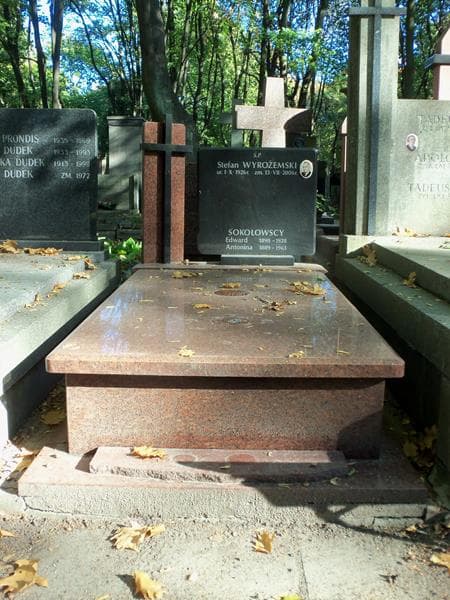 Zdjęcie grobu: Stefan Wyrożemski