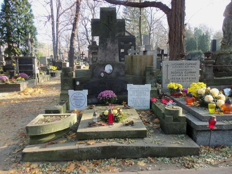 Zdjęcie grobu: Władysław Pobóg-Górski