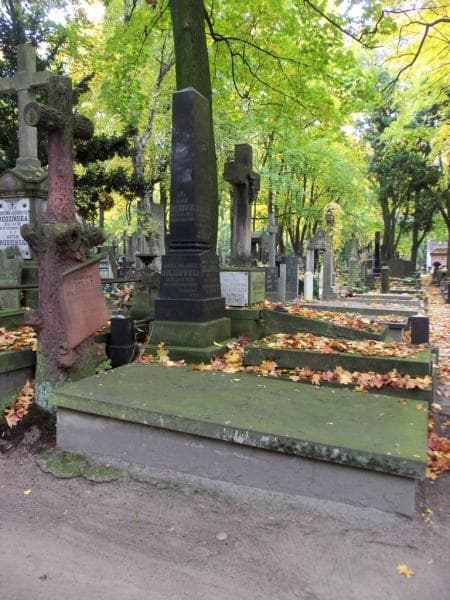 Zdjęcie grobu Władysław Linke (1)