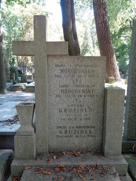 Zdjęcie grobu Ludwik Władysław Horodyński (1)