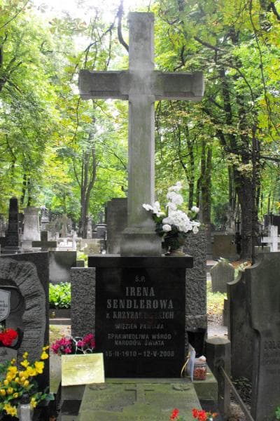 Zdjęcie grobu Janina Karolina Krzyżanowska (2)
