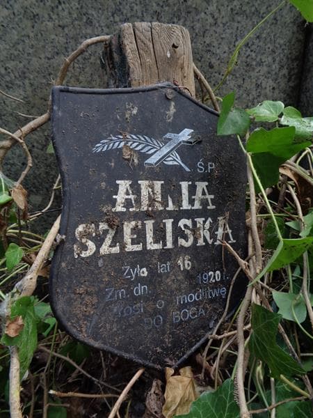 Zdjęcie grobu Anna Szeliska (2)