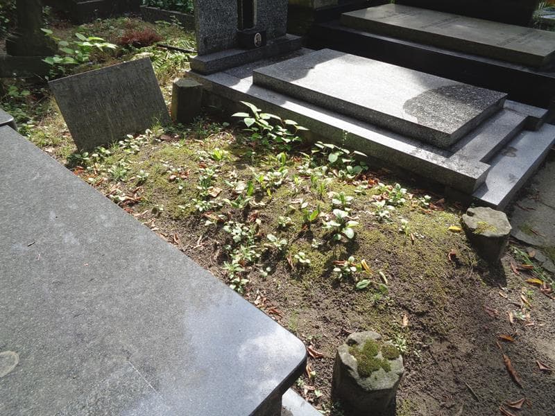 Zdjęcie grobu Augustino Ioanni Volkmerio (1)