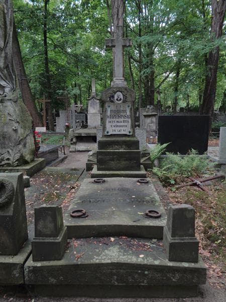 Zdjęcie grobu Franciszek Wrzesiński (1)