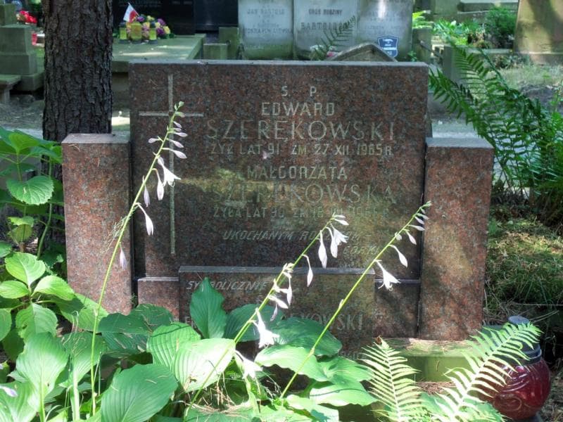 Zdjęcie grobu Edward Szerękowski (2)
