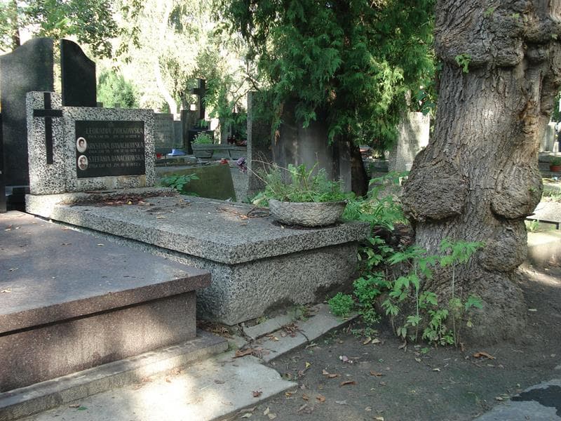 Zdjęcie grobu Stefania Banachowska (1)
