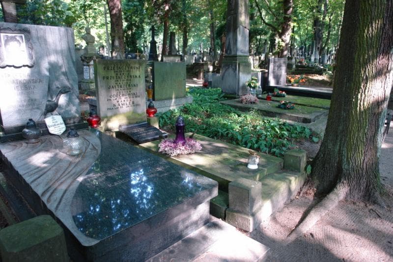 Zdjęcie grobu Julian Odechowski (1)