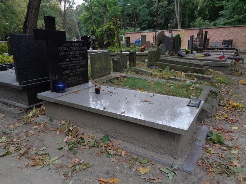 Zdjęcie grobu: Wincenty Dołęga Zakrzewski