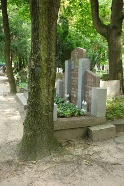 Zdjęcie grobu Stanisław Lech (1)