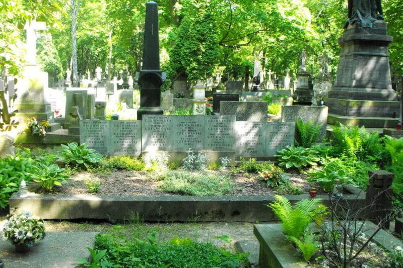 Zdjęcie grobu Edward Czerwiński (1)