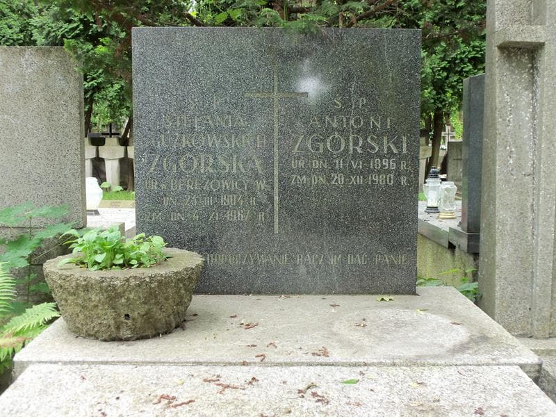 Zdjęcie grobu Stefania Zgórska (2)