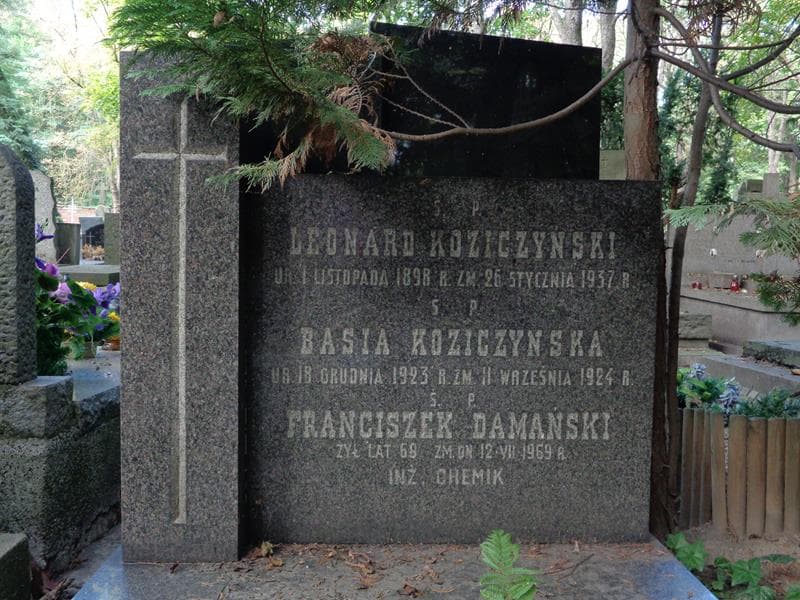 Zdjęcie grobu Leonard Koziczyński (2)