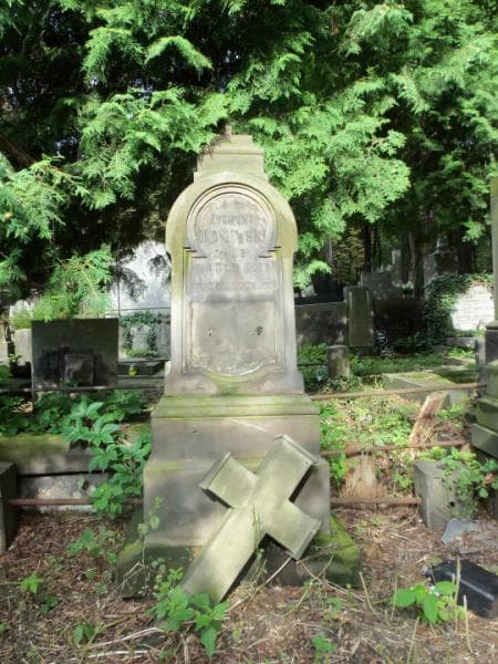 Zdjęcie grobu Zygmunt Okoniewski (1)