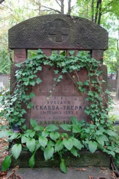 Zdjęcie grobu Anna Dobrowolska (2)