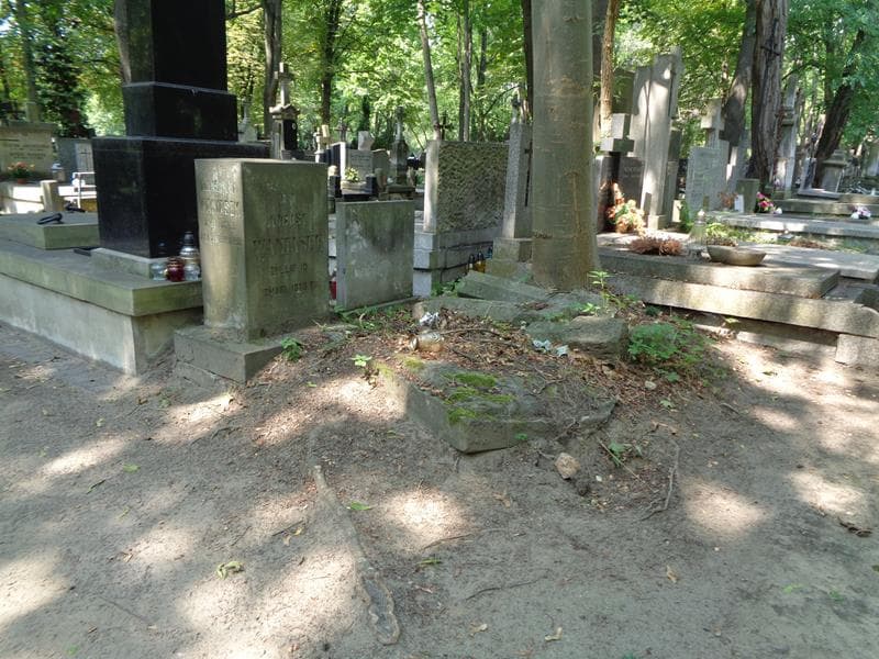 Zdjęcie grobu: August Waniasek