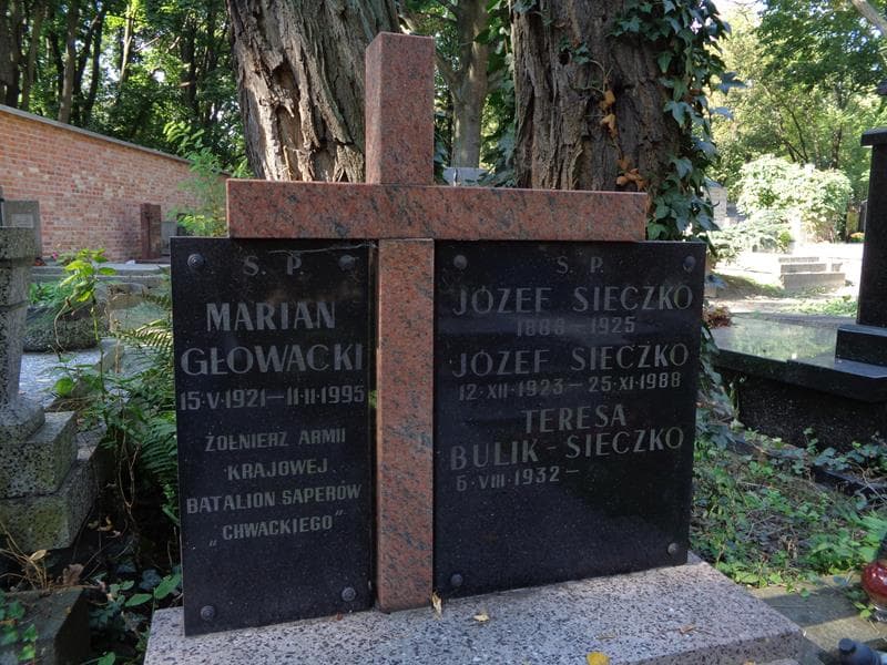 Zdjęcie grobu Józef Sieczko (2)